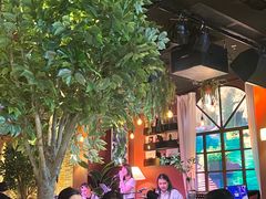 -同仁四季椰子鸡(宝安壹方城店)