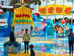 -海合安成都极地海洋公园