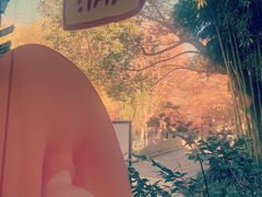 -COSTA COFFEE(西湖天地店)