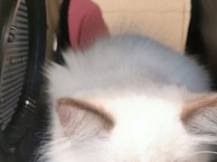 -美联众合24小时·皮肤科·外科·全科诊疗中心(华苑分院)