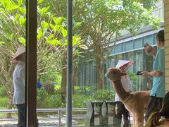 -南宁荔园维景国际酒店·荔园中餐厅