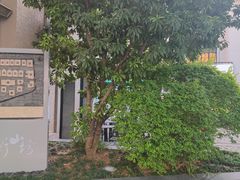 -徐家汇源景区-衡山坊