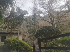 -宁海森林温泉