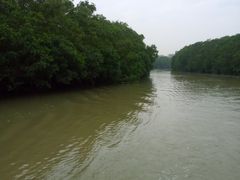 -大湾区中央湿地公园