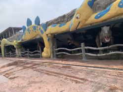 点击看大图 -宝燕乐园(闵行旗舰店)