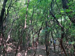 -银吉姆健身(景城邻里中心馆)