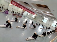 -西安小天鹅艺术团(金花路校区)