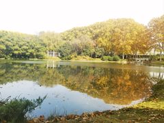 -河南省黄河迎宾馆