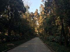 -灵谷景区