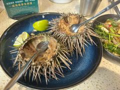 -蚝堡·生蚝海鲜烧烤物种起源•海肠捞饭(刘公岛店)