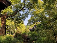 -惠山古镇·寄畅园