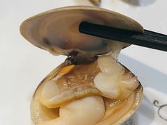 黄蚬子-丹东丛炟海鲜烧烤(江艺路店)