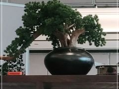 -天然台1908(中建广场店)