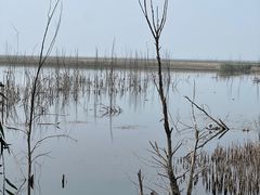 -野鸭湖国家湿地公园