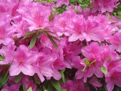 -普陀山慧济禅寺