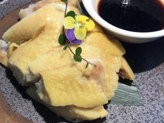 -新白鹿餐厅(松江开元地中海店)