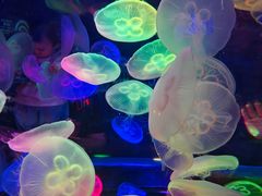 -太平洋海底世界