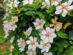 -陈李济中药博物馆