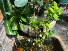 -叁口组·秘密酒廊(钱王街店)