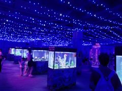 -金铂广场(龙归店)