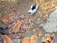 -敬亭山风景名胜区