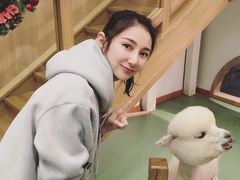 -藦茜花园宠物主题亲子互动体验馆(国顺东路店)