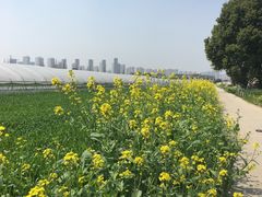 -小鱼草莓采摘园农家乐·小鱼餐厅