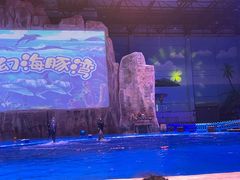 -华夏文旅海洋公园