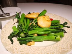 生炒菜心墨鱼饼-東海海鲜酒家(中信广场店)