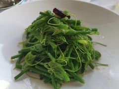 -九头鸟酒家(东高地店)