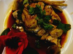 -呼吸森林·生态农庄农家乐私房菜