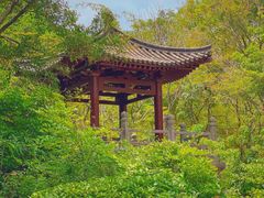 -深圳国际园林花卉博览园