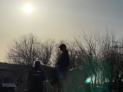 -北京群众马术培训基地