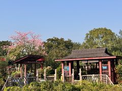 -台山颐和温泉城