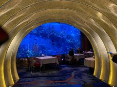 -迪拜帆船酒店海底餐厅