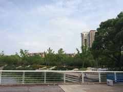 -新江湾城公园