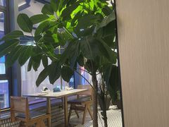 -陶兰居·香港饭店·海鲜大排档(圆融时代广场店)