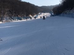 -亚布力新体委滑雪场