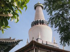 -张掖大佛寺景区