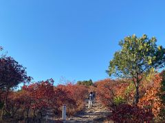 -北京西山国家森林公园