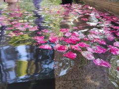 -国御温泉度假小镇