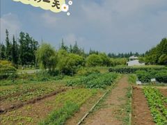 -前小桔亲子创意农场·草莓采摘·露营烧烤