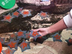 -沈阳海洋探索中心