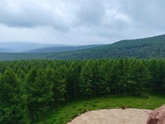 -塞罕坝国家级自然保护区