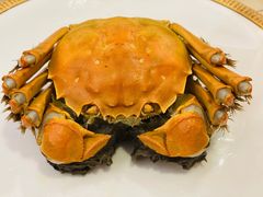 -王宝和酒家(黄浦店)