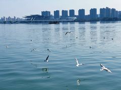-无锡蠡湖国家湿地公园-蠡园