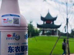 -东北农业大学