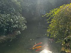 -中国茶叶博物馆(双峰馆区)