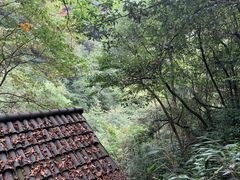 -藏龙百瀑风景区