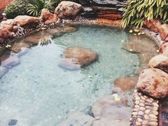 -崇阳三特浪口温泉